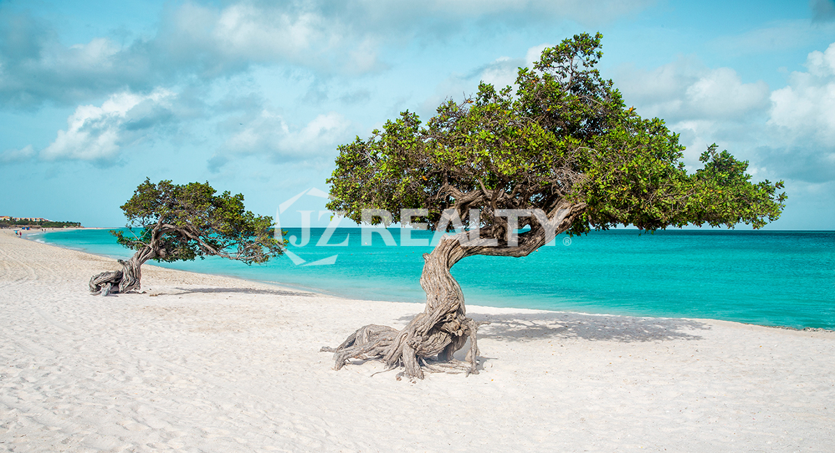 Eagle beach Aruba