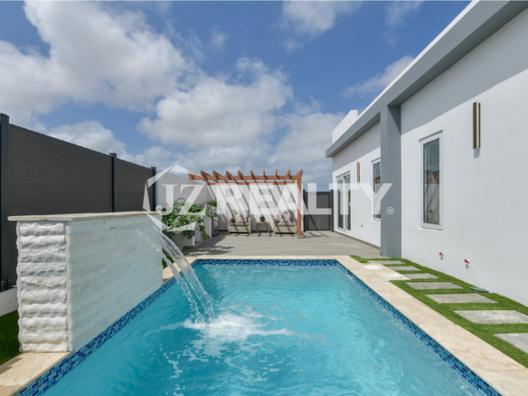 paraera-aruba-property-private-pool-bbq.jpg