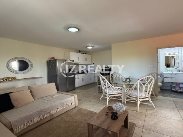 View of kitchen, dining table, and sofa area in an open-concept layout.
