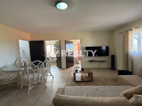 Living area showing a mounted television, large window with curtains, and doors leading to bedrooms.