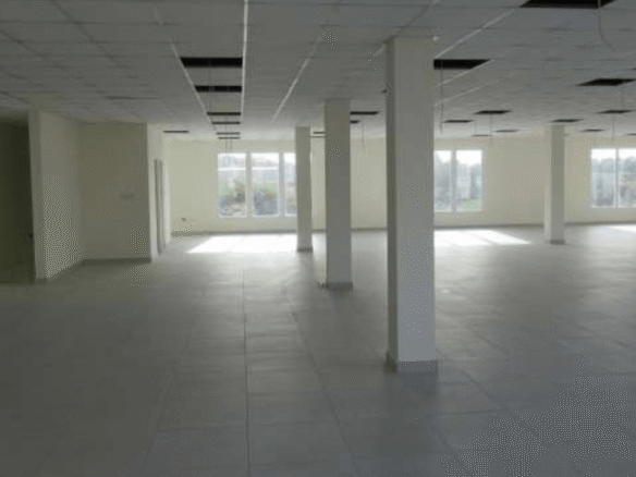 Magdalena Development Commercial Building big office area