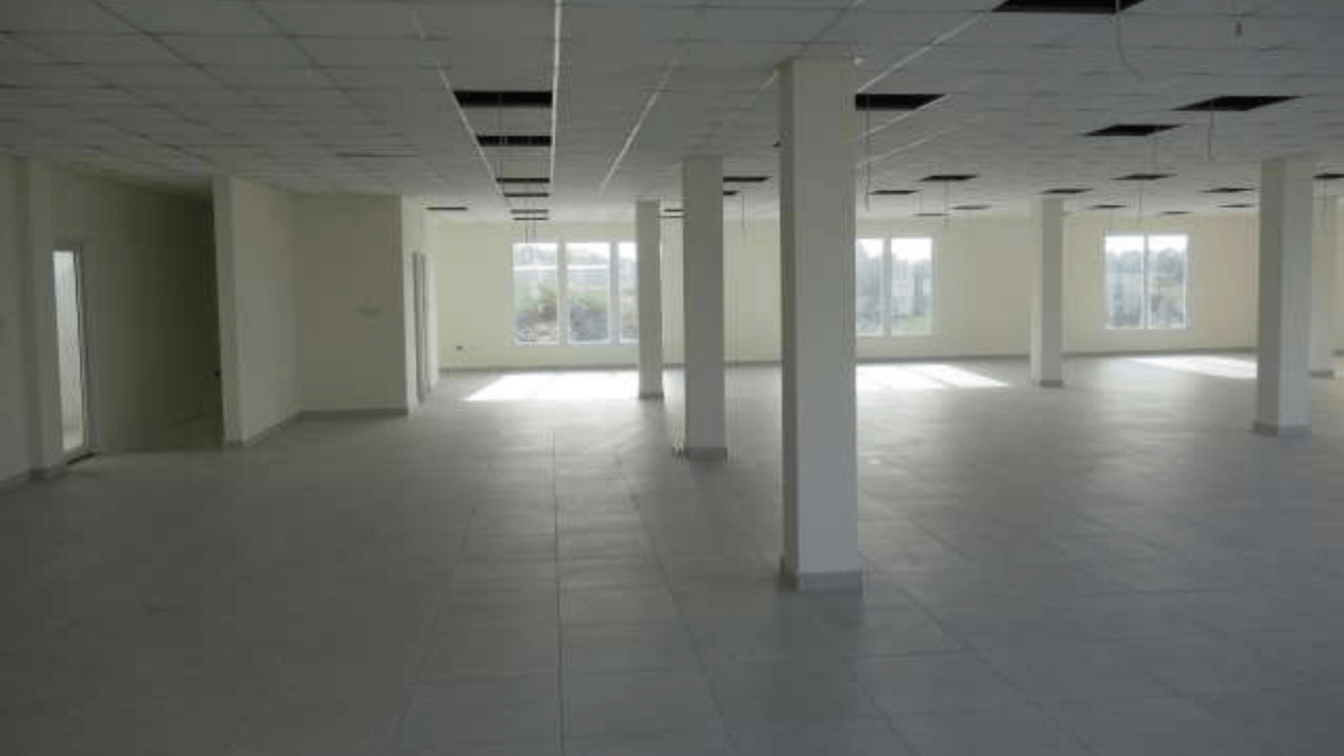 Magdalena Development Commercial Building big office area
