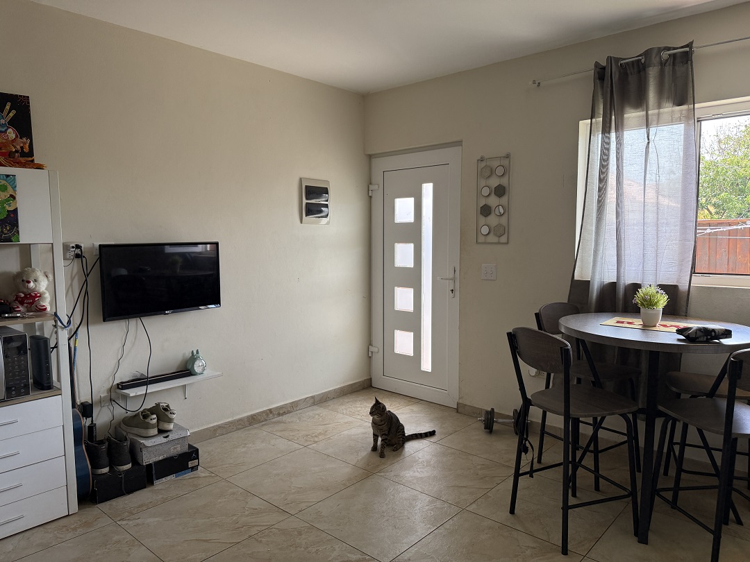 Open-concept kitchen and living area inside a 1-bedroom apartment in Alto Vista, Aruba.