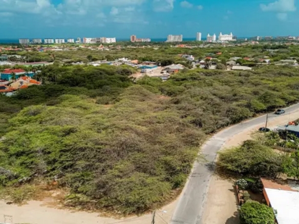 Aerial view of Bubali development land in Noord, Aruba, featuring a curved road, surrounding vegetation, and distant skyline.