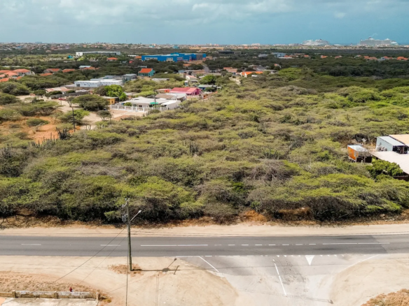 Aerial view of development land in Bubali, Noord, Aruba, showing road frontage, surrounding homes, and natural vegetation.