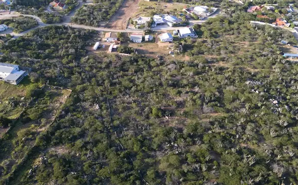 Elevated aerial view of the land for sale in Mon Pos, Santa Cruz, Aruba, with neighboring properties and natural vegetation visible.