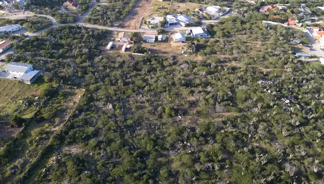 Elevated aerial view of the land for sale in Mon Pos, Santa Cruz, Aruba, with neighboring properties and natural vegetation visible.