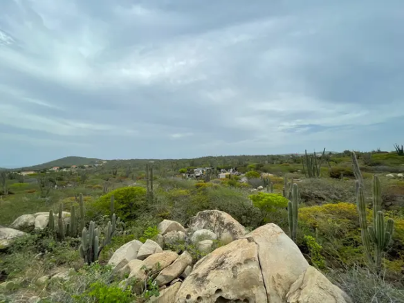 Landscape view across the Mon Pos land parcel in Santa Cruz, Aruba, featuring cacti, boulders, and surrounding hills.