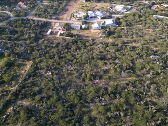 Detailed aerial view of the land for sale in Mon Pos, Santa Cruz, Aruba, showing vegetation patterns and nearby development.