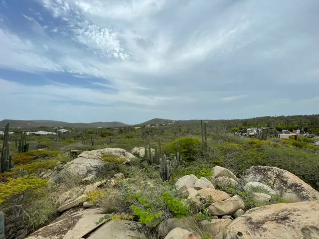 Rocky terrain with cacti and native vegetation on the land for sale in Mon Pos, Santa Cruz, Aruba.