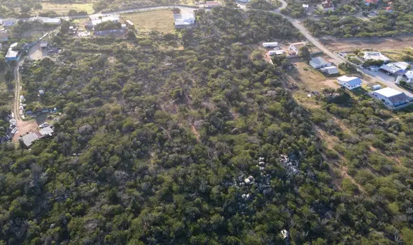 Wide aerial view of the land for sale in Mon Pos, Santa Cruz, Aruba, featuring natural vegetation and undeveloped terrain.