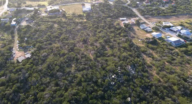 Wide aerial view of the land for sale in Mon Pos, Santa Cruz, Aruba, featuring natural vegetation and undeveloped terrain.