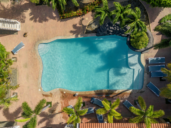 Aerial view of the shared swimming pool and tropical landscaping at Marquee Apartments in Noord, Aruba.