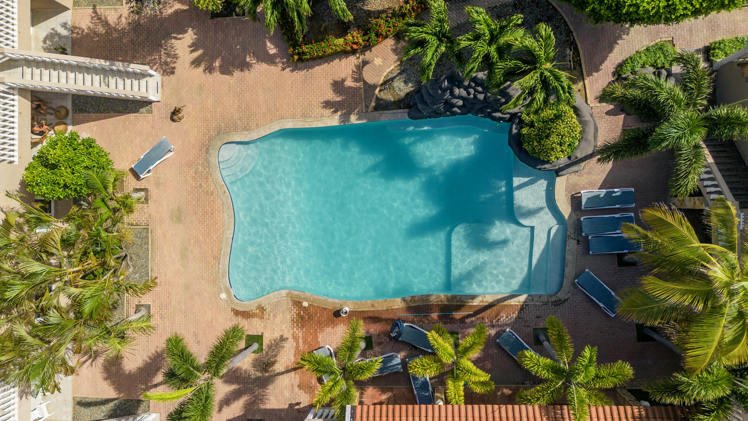 Aerial view of the shared swimming pool and tropical landscaping at Marquee Apartments in Noord, Aruba.